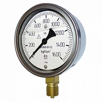 ДМ8008-ВУ 25 кгс/см2 кл.1,5 G1/2" УТ000007233