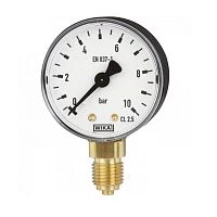 111.10.063 16 bar кл.1,6 G1/4" Корпус СТАЛЬ УТ000003716