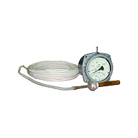 ТГП-100Эк-М (0...+300)°С-2,5-6-250-А УТ000008781