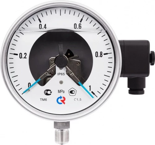 ТМ-621Р.05(0-25)MPa.М20х1,5.1,5 ЭКМ исп.V  СИЛИКОН УТ000013508