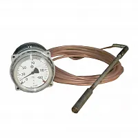 ТГП-100Эк-М1-(0...+200)°С-1,0-4-250 УТ000019734
